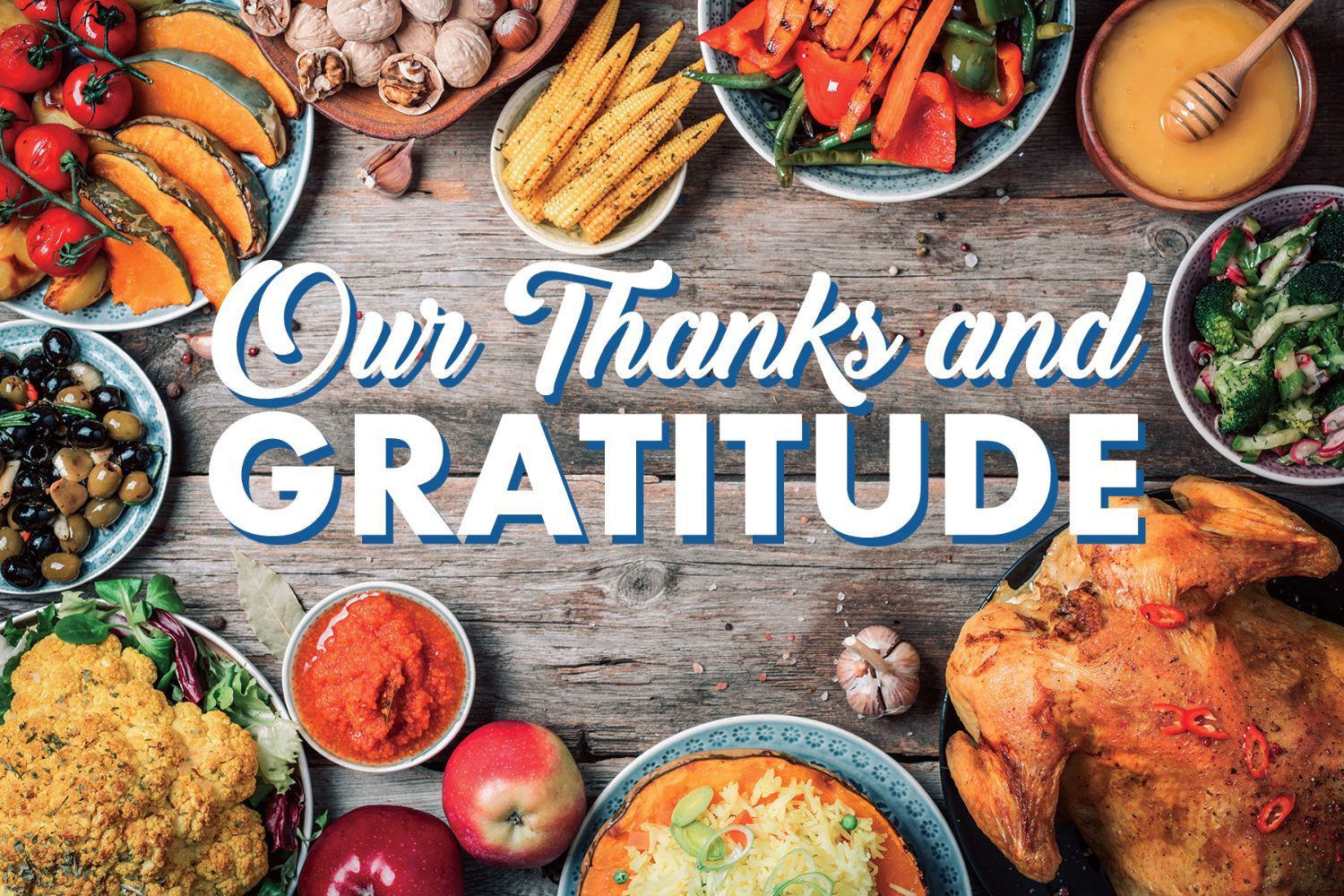 Our Thanks & Gratitude